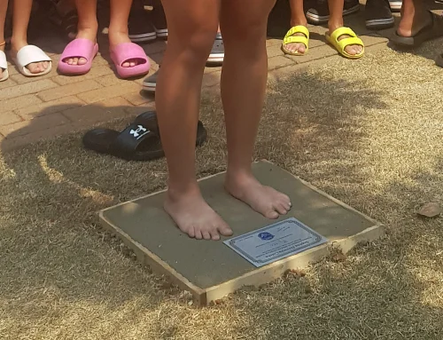 Homenagens para medalhista mundial de nata��o Sophia Coleta