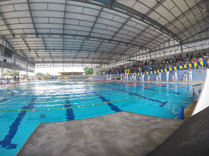 ABDA fatura mais de 200 medalhas em Regional de Nata��o