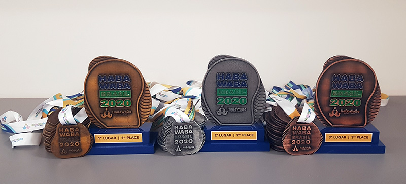 Trof�us e medalhas da S�rie Tsu (segunda divis�o) do HaBaWaBa Brasil