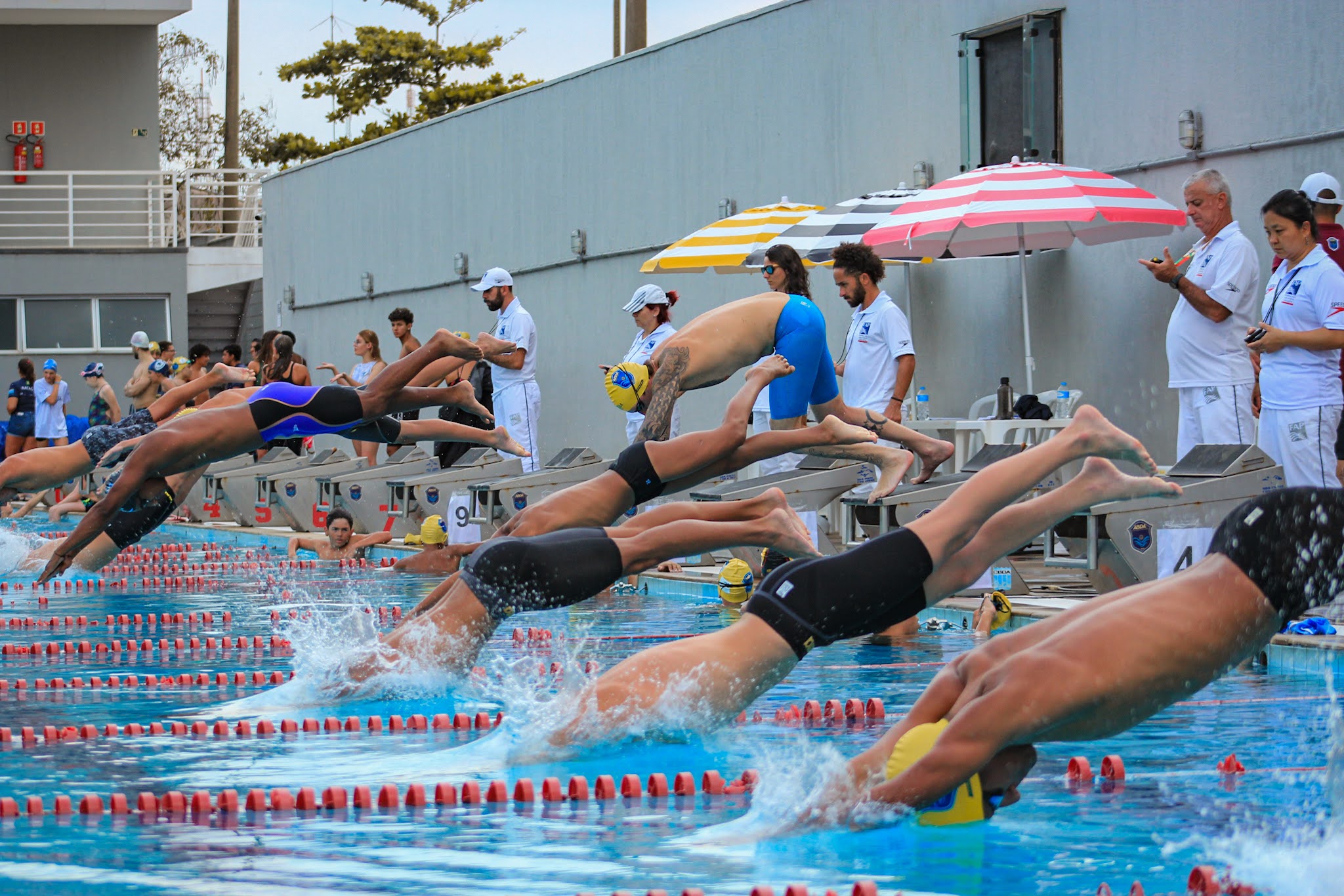 ABDA conquista 362 medalhas em Torneio Regional de nata��o